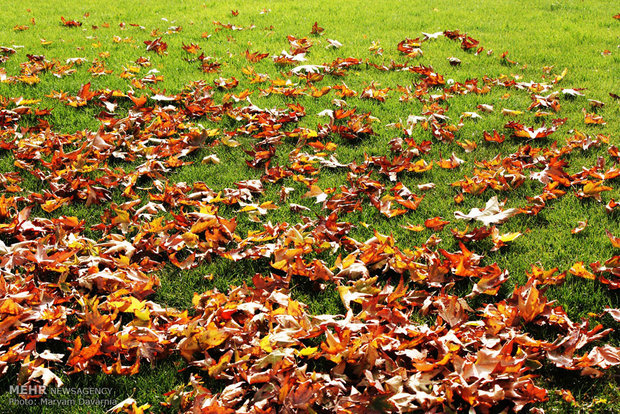 Autumn in Bojnourd