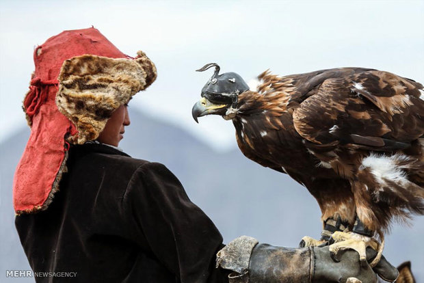 مهرجان النسر الذهبي في منغوليا