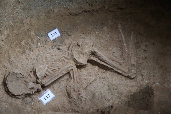 7,000-year-old woman's skeleton moves to National Museum