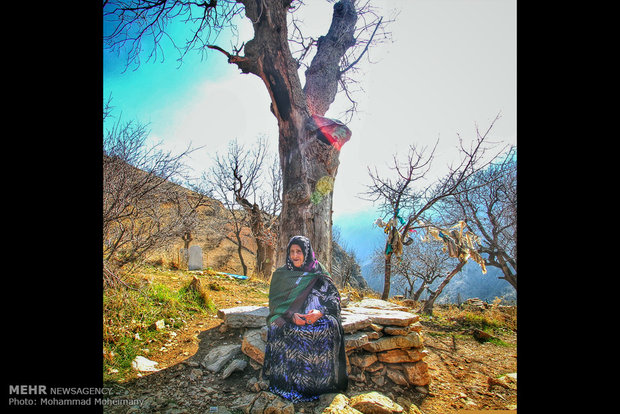 A view of daily life in Iran 