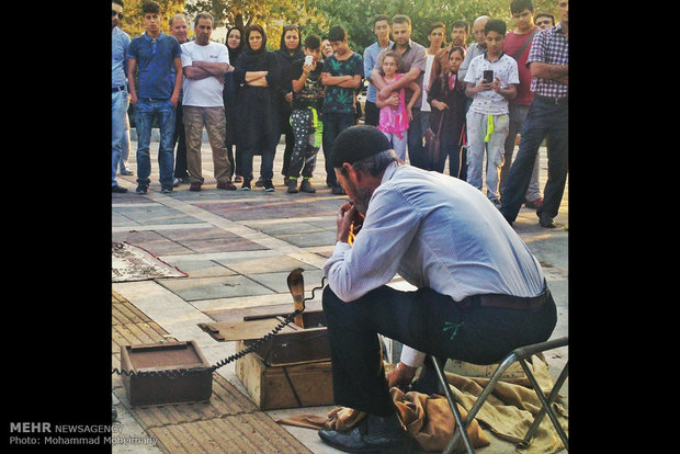 A view of daily life in Iran 