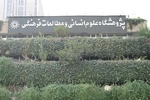 ملت ریشه دار ایران دست برتر را در میدان رزم و دیگر میدان‌ها داراست