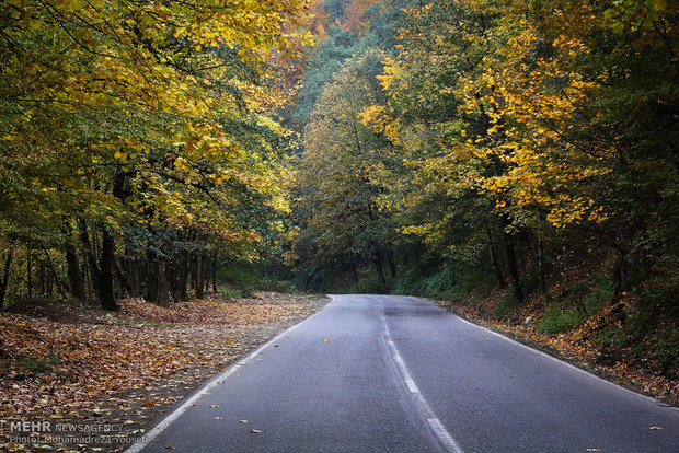 Beautiful autumn in Asalem