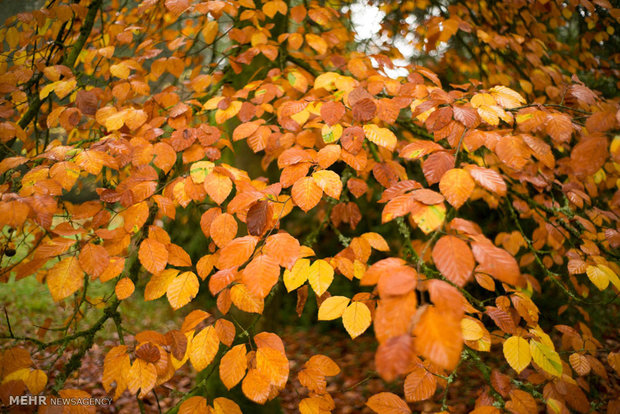 رونمایی نماد اقتدار ایران؛ عشق و اسطورههای بهرام دبیری به موزه آمدند رونمایی نماد اقتدار ایران؛ عشق و اسطورههای بهرام دبیری به موزه آمدند