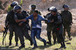 Zionist forces detain host of Palestinians in West Bank