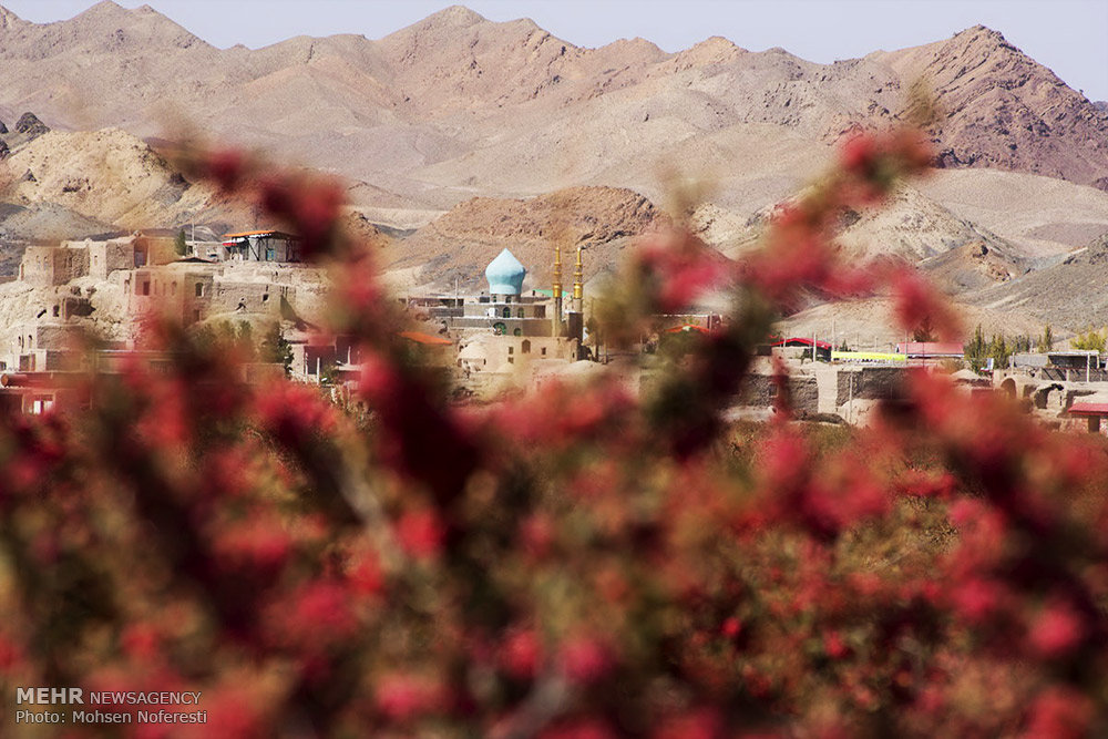 «روستاگردی» گنج پنهان گردشگریِ خراسان جنوبی/زیرساختها را دریابیم