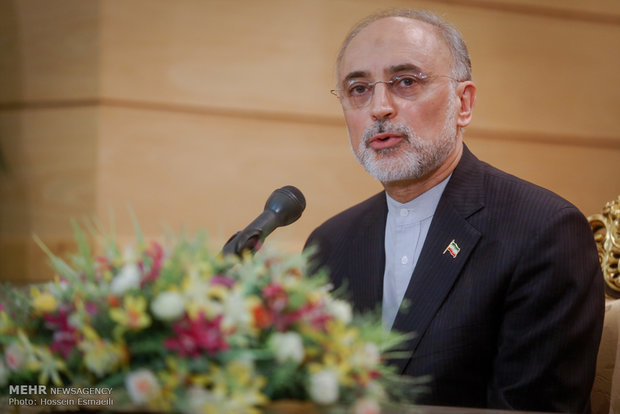 5+1 lagging behind full commitment to deal: Salehi
