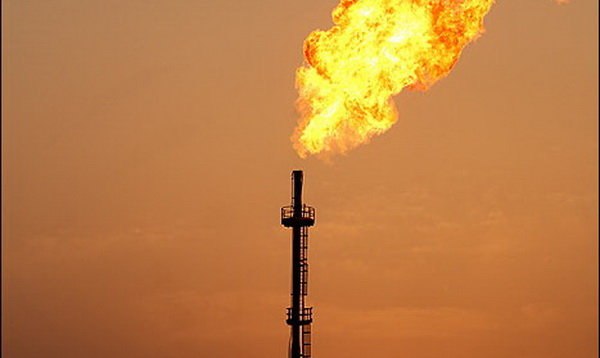 سقوط قیمت نفت دامن گاز را گرفت/رقابت مفت‌فروشی گاز بالا گرفت