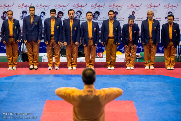 Iran Taekwondo Premier League