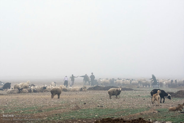 مه گرفتگی در اندیمشک