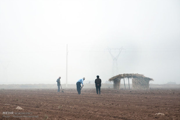 مه گرفتگی در اندیمشک