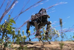 آزمایش سگ روباتیکی گوگل در شرایط شبیه سازی شده جنگی
