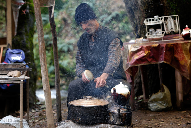 Local Vendor