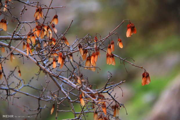 Rumeshkhan in autumn