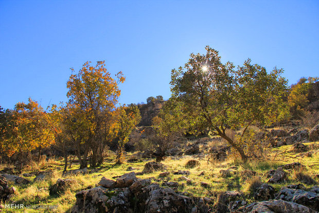 Rumeshkhan in autumn