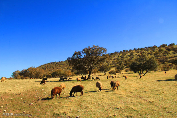 Rumeshkhan in autumn