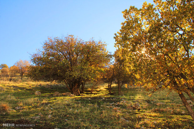 Rumeshkhan in autumn