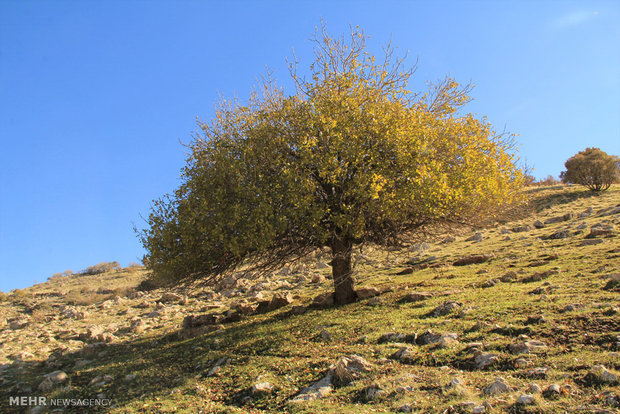 Rumeshkhan in autumn