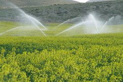 ضرورت تجهیز باغات آذربایجان شرقی به سیستم آبیاری تحت فشار