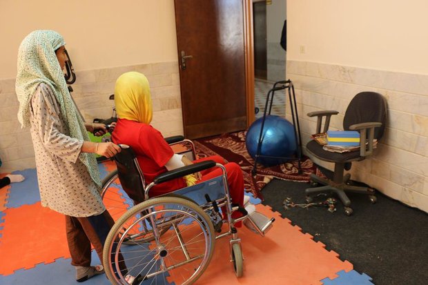 همکاری آلمان و اصفهان برای طراحی سیستم آموزشی مناسب معلولان