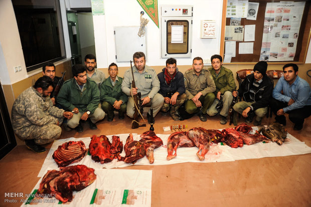 Arresting illegal hunters by Guards of Golestan National Park 