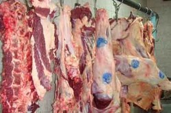 قیمت گوشت گوسفندی تا عید گران نمی‌شود