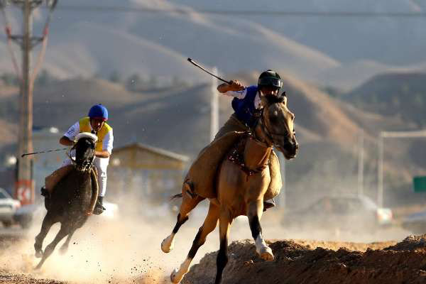 برگزاری کورس پائیزه/ فرصتی دوباره برای جدال اسب‌های اصیل ترکمن