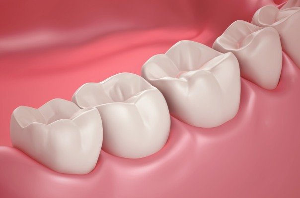 ذخیره سازی پالت دندان از طریق ریشه دندان  شیری انجام می شود