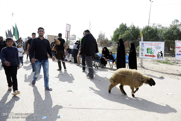 Massive march for Arbaeen Hosseini - 4