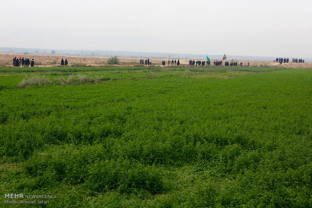 راهپیمایی عظیم زائران اربعین حسینی