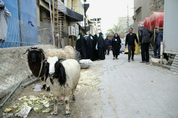 سطح شهر کربلای معلی