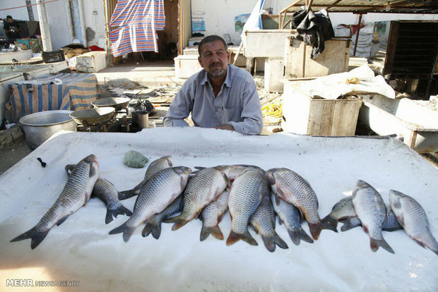 سطح شهر کربلای معلی