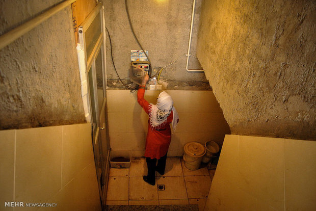 قارچ های طيبه