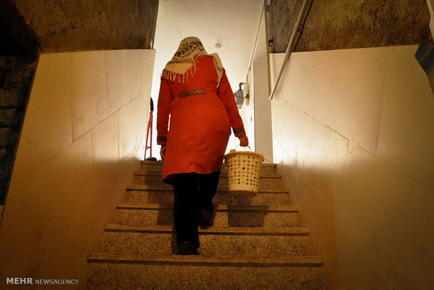 قارچ های طيبه