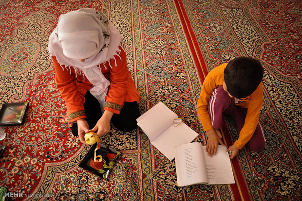 قارچ های طيبه