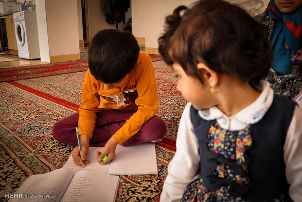 قارچ های طيبه