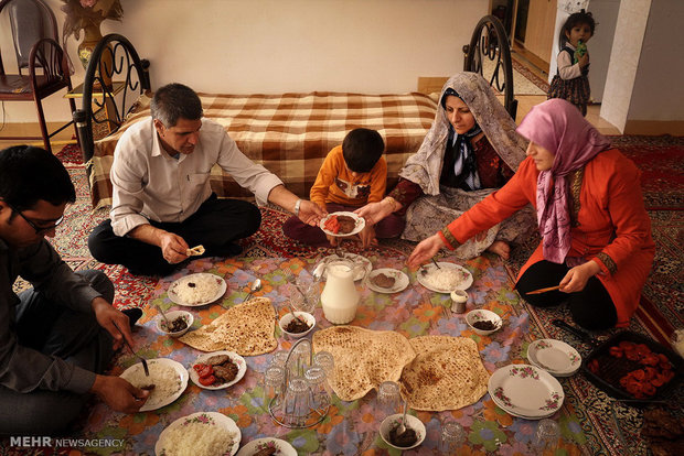 قارچ های طيبه