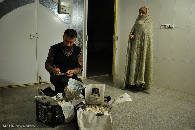 قارچ های طيبه