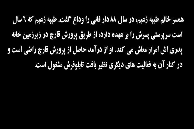 قارچ های طيبه