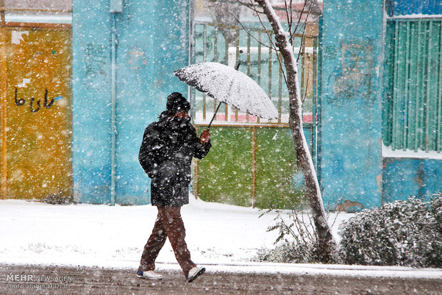 Snow fall in Ardebil