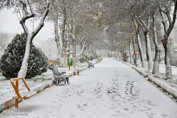 Snow fall in Ardebil