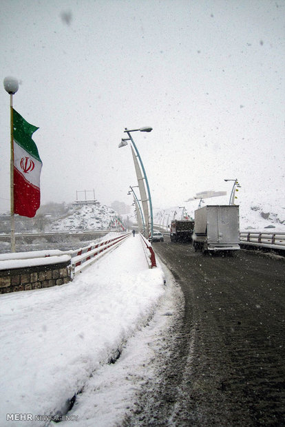 بارش برف در سقز