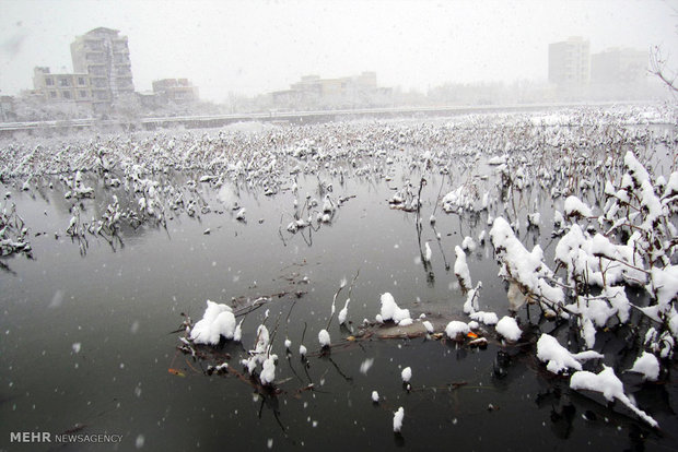 بارش برف در سقز