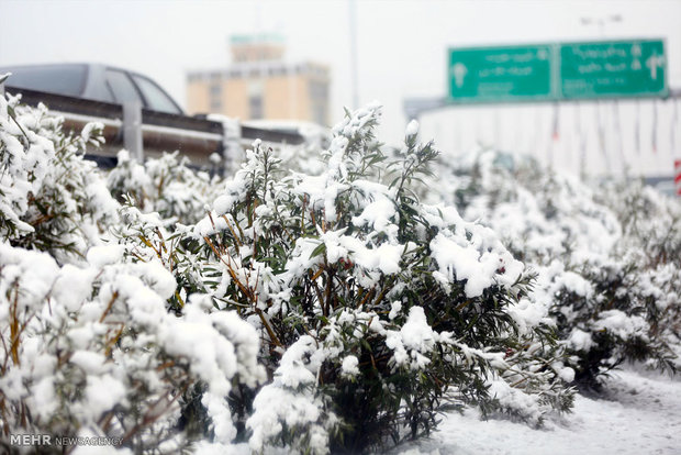 Snowy day in Tehran