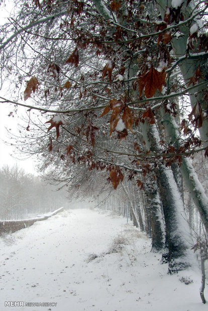 Shahroud under snow