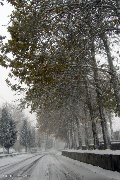 Shahroud under snow