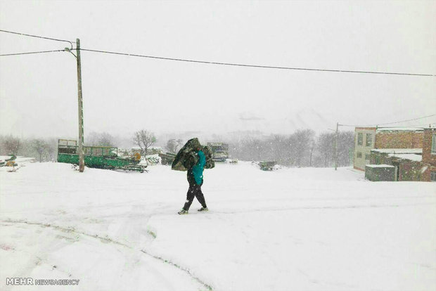 Snowy days in Neyshabur