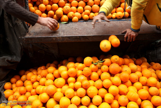 یلدا زیر تیغ گرانی / سنتهایی که با افزایش قیمتها رنگ باخت 3