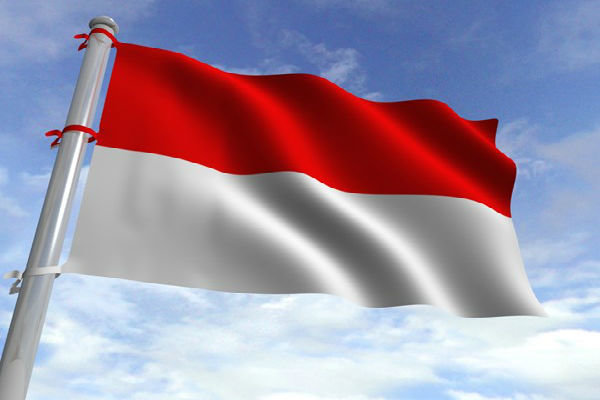 انڈونیشیا میں صدارتی محل پر گرنیڈ سے حملہ/ 2 اہلکار زخمی