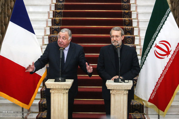دیدار روسای مجالس ایران و فرانسه